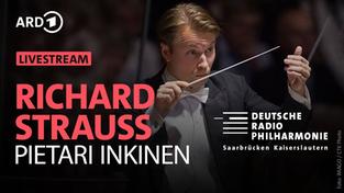 Video-Livestream aus Ludwigsburg (Foto: SWR)