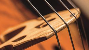 Violoncello (Foto: Marco Borggreve)