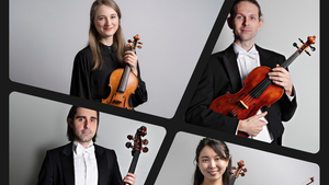 Theresa Jensen, Benedikt Schneider, Shoko Murakami und Teodor Rusu (Foto: DRP)