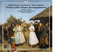 (Foto: DRP)  (Foto: DRP)