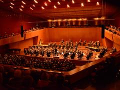 Die DRP in der Congresshalle Saarbrücken (Foto: Mechthild Schneider)