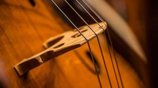 Foto: Marco Borggreve