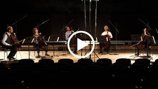 Cellistinnen und Cellisten der DRP (Foto: DRP)